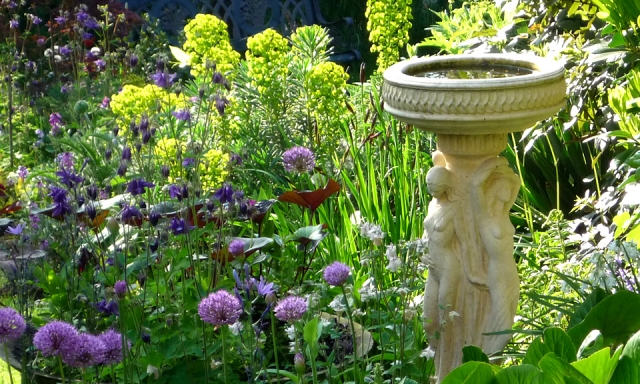 Beautiful garden planting by Gardenia Gardens of Dulwich