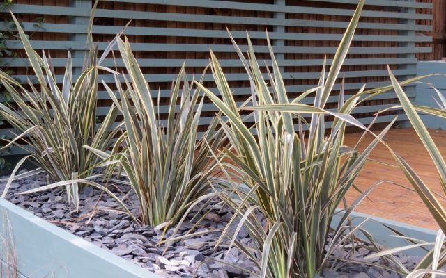 Classic garden design Gardenia Gardens features potted plants & wood textures