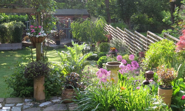 Forest Hill garden by Gardenia Gardens SE London