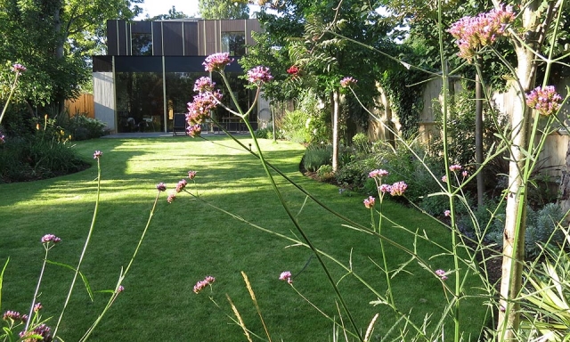 Garden landscaped by Gardenia Gardens of Dulwich for Iconic Architect’s Home