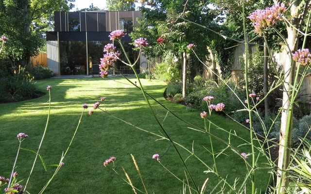 Garden landscaped by Gardenia Gardens of Dulwich for Iconic Architect’s Home
